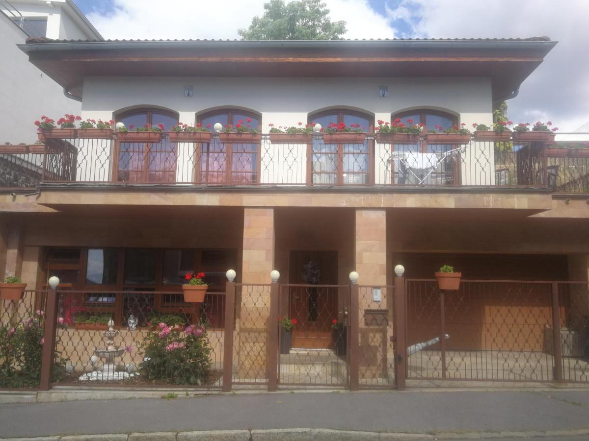 Vila Barrandov Prága Kültér fotó